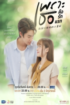 A Love So Beautiful (2024) เพราะเธอคือรักแรก