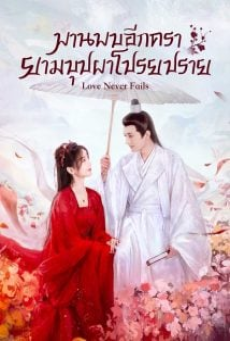 Love Never Fails (2025) พบพานอีกครายามบุปผาโปรยปราย